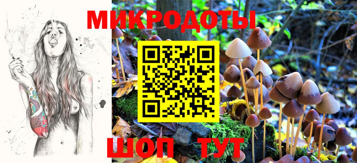 Псилоцибиновые грибы ЛСД Барабинск