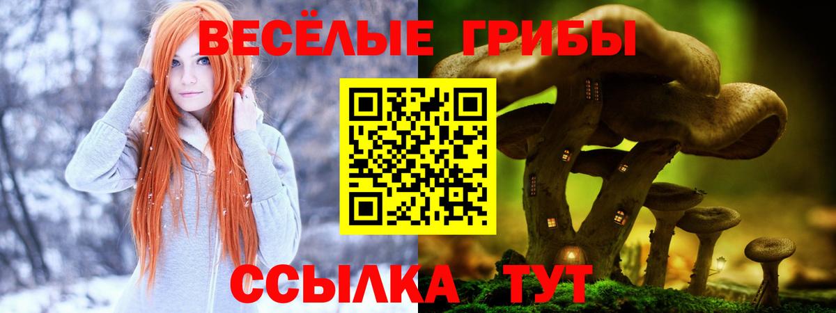 дарнет шоп  Галлюциногенные грибы MAGIC MUSHROOMS  Вход с VPN  Барабинск  Галлюциногенные грибы мицелий 